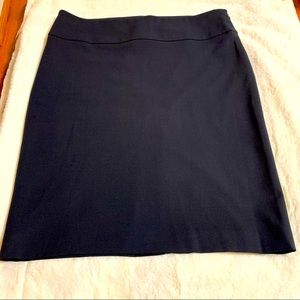 Peserico Skirt/Color Navy/Size 50 Italy  (USA Size 14)